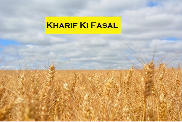 Kharif Ki Fasal