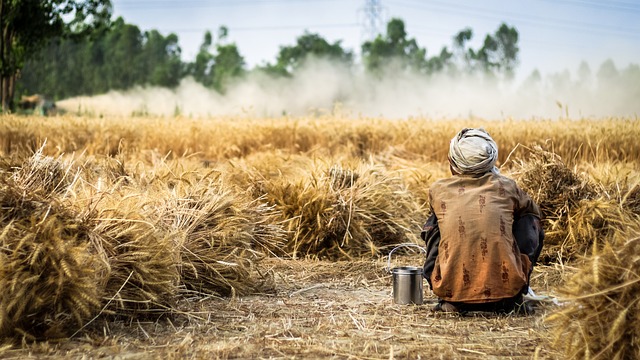 Primitive Subsistence Farming