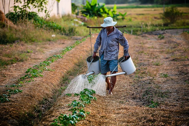 Irrigation Department