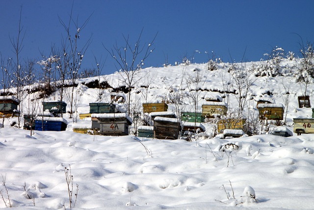 Winter Bee Cozy Bee Hive Insulation Wraps