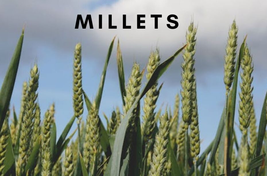 Millets|