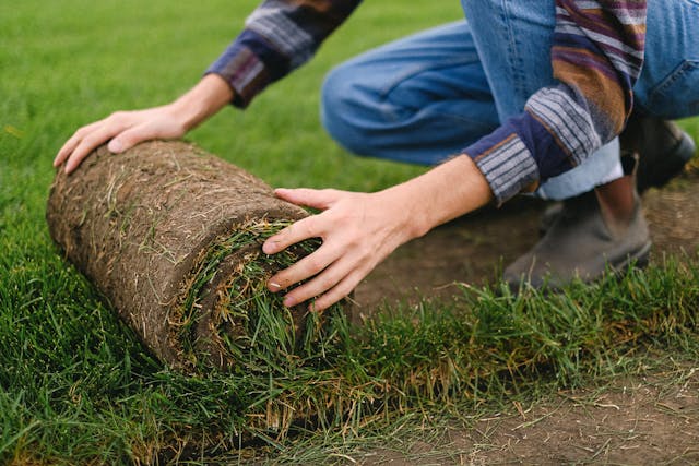 Sod Farm