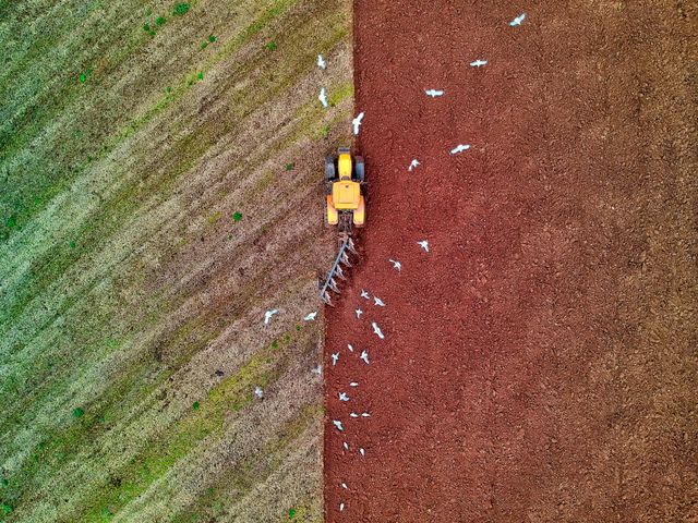Advantages and Disadvantages of Intensive Farming